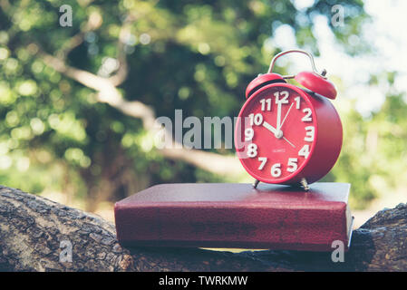 Horloge temps réel. La gestion du temps. horloge rouge et livre sur la nature en bois dans le parc. concept 2017 Calendrier Calendrier mural arrière-plan. Planification des horaires Banque D'Images