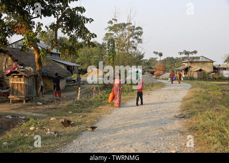 Les maisons et les gens dans le village de l'ethnie Tharu près de Chitwan, Népal Banque D'Images