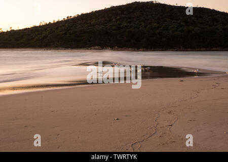 Lever du soleil à la broche, Fingle Bay, NSW, Australie Banque D'Images