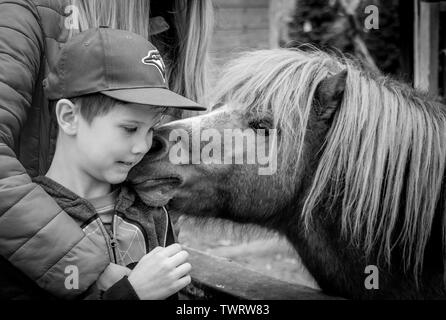 Garçon avec Poney Banque D'Images