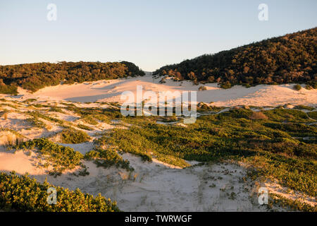 Lever du soleil à la broche, Fingle Bay, NSW, Australie Banque D'Images