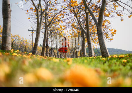 Young woman walking in arch avec du coton naturel, arbre de soie jaune en coton park Banque D'Images