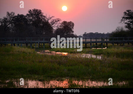 Coucher de soleil sur Khwai Porte nord de camping. Moremi, Okavango Delta, Botswana Banque D'Images