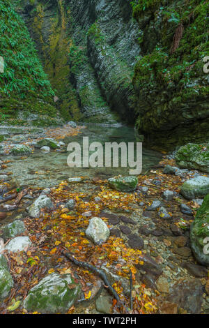 Les parois du canyon moussu avec rock, rock en couches stratifiées et un ruisseau avec de l'eau émeraude. Les feuilles mortes de la saison d'automne. La Slovénie. Banque D'Images