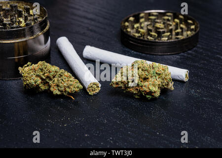 La marijuana est de voir un énorme changement d'attitude à l'égard de sa culture et l'utilisation aux États-Unis et dans d'autres pays. De nombreux États américains ont déjà ta Banque D'Images