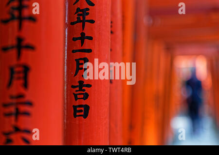 Arches orange dans temple Nezu, Tokyo, Japon Banque D'Images