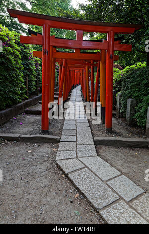 Arches orange dans temple Nezu, Tokyo, Japon Banque D'Images