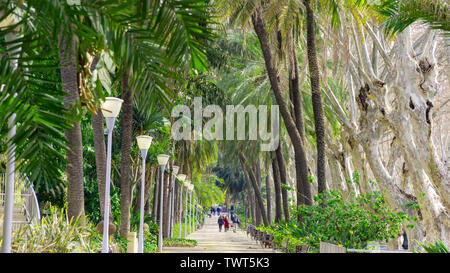 Paseo del Parque d'été dans la ville de Malaga Costa del Sol Espagne Banque D'Images