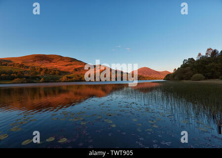 Heure d'or à Loweswater Banque D'Images