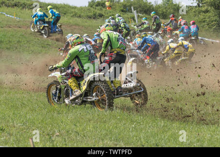 BREZOVA NAD SVITAVOU, RÉPUBLIQUE TCHÈQUE - 15 juin 2019 : démarrage en montée en Championnat International de République tchèque en 2019 Sidecarcross dans zone Brezov Banque D'Images