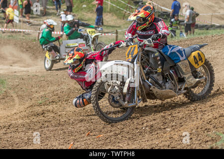 BREZOVA NAD SVITAVOU, RÉPUBLIQUE TCHÈQUE - 15 juin 2019 : vue rapprochée de la fleur rouge en Championnat International de République tchèque en Sidecarcross 201 Banque D'Images