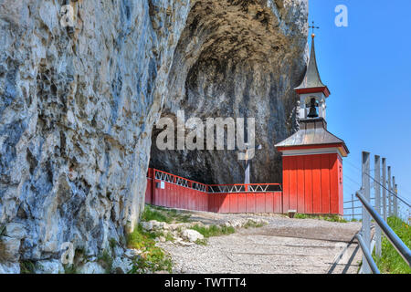 Aescher, Edelweiss, Wasserauen, Appenzell Rhodes-Intérieures, Suisse, Europe Banque D'Images