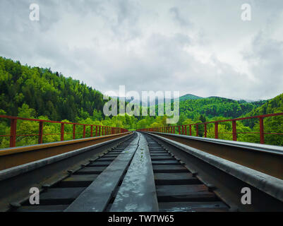 Vieux pont de chemin de fer de percer la forêt de printemps dans les montagnes, collines. Beau paysage avec différents tons de vert des arbres et nuages brumeux sur Banque D'Images