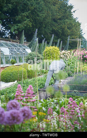 Une large sélection de plantes à fleurs d'été dans un jardin clos pendant les mois d'été, England, UK, FR. Banque D'Images