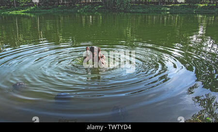 Summer ramna Park 23 jun,2019 Dhaka bangladesh.un homme prend un bain dans l'étang du parc de ramana en raison de l'épuisement de la chaleur.Nazmul Islam/ alamy stock live Banque D'Images