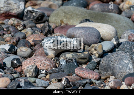Cailloux multicolores sur une plage en plein soleil Banque D'Images