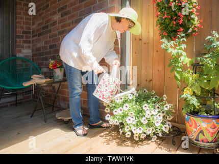 Une dame mature arrosage des fleurs et plantes sur son petit patio. Banque D'Images