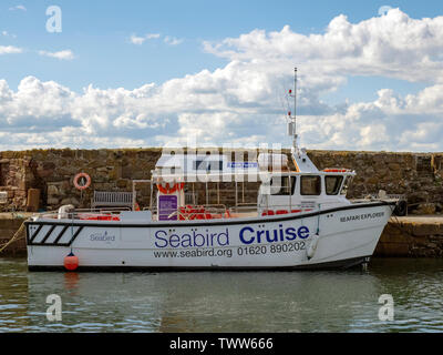 La croisière en Catamaran - Catamaran voyage autour du Bass Rock et l'île de Craigleith. Banque D'Images