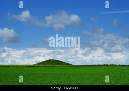 Un tumulus de l'âge du bronze près de Maiden Castle, Dorchester, Dorset, UK - John Gollop Banque D'Images