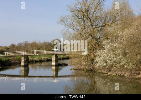 Petite passerelle sur la rivière Stour au printemps, Dorset Banque D'Images