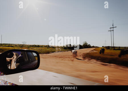 Ruta 2, le Paraguay. Feb 15, 2008. Reflet dans le rétroviseur de l'homme assis à l'intérieur de voiture et photographier avec l'appareil photo reflex aux beaux matins à l'heure d'été. Route de campagne voyage, conceptual image de voyage d'aventure, s'échapper. Arrière-plan flou de vitesse. Ruta II Mariscal Estigarribia, Paraguay. Banque D'Images