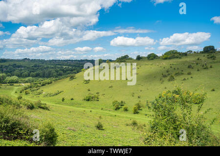 St Catherines Hill vue paysage, dans le parc national des South Downs, Hampshire, Royaume-Uni, sur une journée ensoleillée Banque D'Images