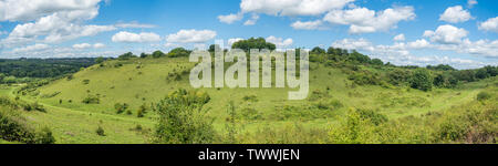 St Catherines Hill, paysage panoramique vue sur la colline dans le parc national des South Downs, Hampshire, Royaume-Uni Banque D'Images