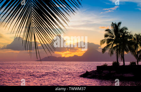 Coucher du soleil sur la plage avec silhouette de palmiers. Vacances d'été coloré soir paysage. Banque D'Images