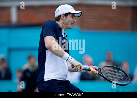 Queens Club, London, UK. 23 Juin, 2019. Le tournoi de tennis ATP Fever-Tree ; Andy Murray (GBR) en action contre Rajeev Ram (USA) et Joe Salisbury (GBR) : Action de Crédit Plus Sport/Alamy Live News Banque D'Images