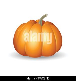 Orange citrouille - cartoon vector illustration isolé sur fond blanc Illustration de Vecteur