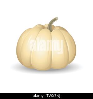 Citrouille blanc - cartoon vector illustration isolé sur fond blanc Illustration de Vecteur