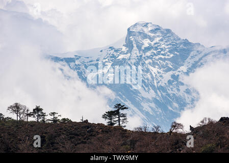 Plusieurs arbres isolés en face de couvert de glace pic de Kyashar au Népal Himalaya Banque D'Images