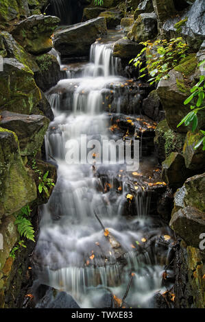 UK,South Yorkshire,Sheffield,Endcliffe Park Cascades Banque D'Images