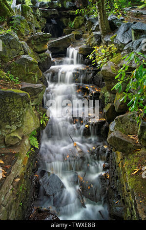 UK,South Yorkshire,Sheffield,Endcliffe Park Cascades Banque D'Images