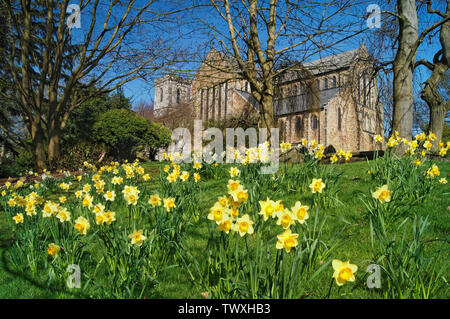 UK,South Yorkshire,Sheffield,Ecclesall,All Saints Church Banque D'Images