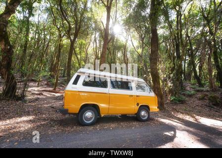 La Gomera, Espagne - 16 janvier 2016 : Classique camping-Volkswagen T2 van sur la route dans une forêt verte . Banque D'Images