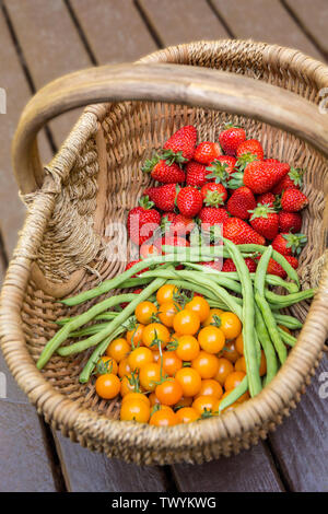 Panier de fraises fraîchement cueillies, ererbearing Monto Cristo pole haricots verts et tomates cerise Sungold reposant sur une terrasse en bois à Issaquah, était Banque D'Images