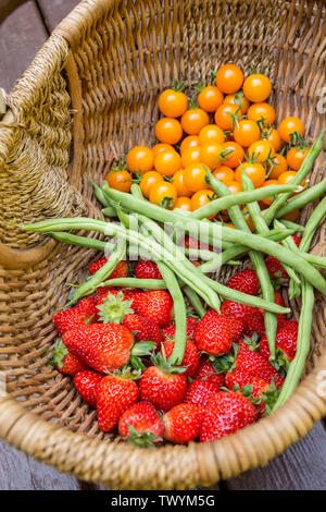 Panier de fraises fraîchement cueillies, ererbearing Monto Cristo pole haricots verts et tomates cerise Sungold reposant sur une terrasse en bois Banque D'Images