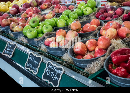 Wenatchee, Washington, USA. Vitrine réfrigérée de fraîchement récolté les pommes cultivées sur place à la vente à un stand de produire. Banque D'Images