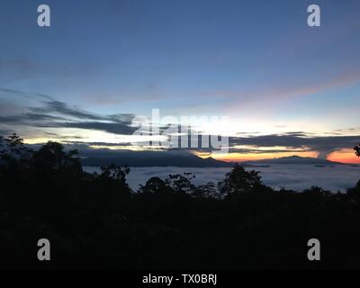 Lever du soleil sur la vallée de Danum, Sabah, Malaisie Banque D'Images