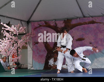 Denver, Colorado - le 22 juin 2019 : démonstration de karaté au 47e Festival annuel Cherry Blossom sur Sakura Square dans le centre-ville de Denver Banque D'Images
