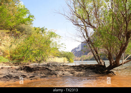 Crocodile reposant sur une côte sablonneuse de la rivière Grijalva (Rio Grijalva) à l'intérieur (Canyon du Sumidero Canyon del Sumidero) près de Tuxtla Gutierrez, Chiapas, moi Banque D'Images