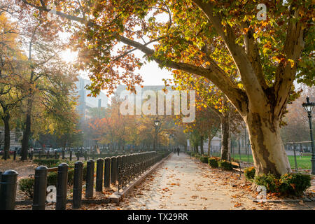Beau paysage d'automne autour de la place de la liberté à Budapest, Hongrie Banque D'Images