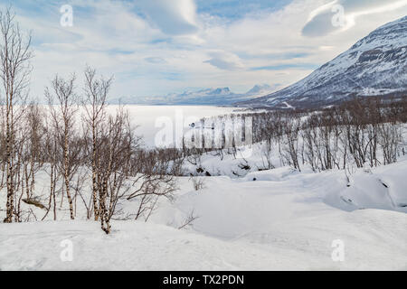 Vue sur Lapporten à Abisko en printemps avec la neige et glace d'un lac Torneträsk, bouleaux et partiellement nuageux ciel, Abisko, comté de Kiruna, suédois Banque D'Images