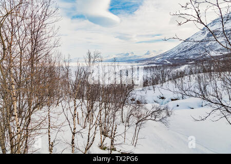 Vue sur Lapporten à Abisko en printemps avec la neige et glace d'un lac Torneträsk, bouleaux et partiellement nuageux ciel, Abisko, comté de Kiruna, suédois Banque D'Images