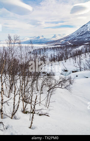 Vue sur Lapporten à Abisko en printemps avec la neige et glace d'un lac Torneträsk, bouleaux et partiellement nuageux ciel, Abisko, comté de Kiruna, suédois Banque D'Images