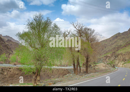 Printemps dans les montagnes est faite tardivement, et les arbres le long de la route n'a pas germé Doku jusqu'en mai Banque D'Images