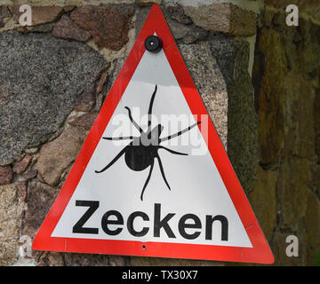 23 juin 2019, le Brandebourg, Müllrose : un panneau d'avertissement avec l'inscription 'Ticks' est fixé au mur à côté d'un secteur boisé. Photo : Patrick Pleul/dpa-Zentralbild/ZB Banque D'Images