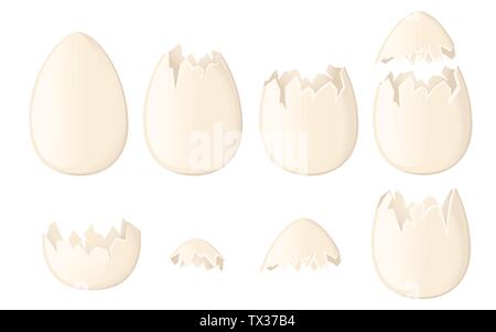 Ensemble de coquilles d'œufs blancs ensemble et fissurée ou cassée coquillages télévision vector illustration isolé sur fond blanc. Illustration de Vecteur