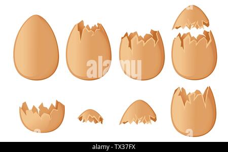 Ensemble de brown egg shells ensemble et fissurée ou cassée coquillages télévision vector illustration isolé sur fond blanc. Illustration de Vecteur